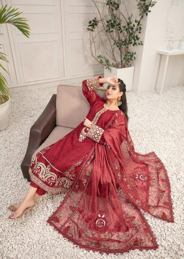 Pakistani  Suit - Image 3