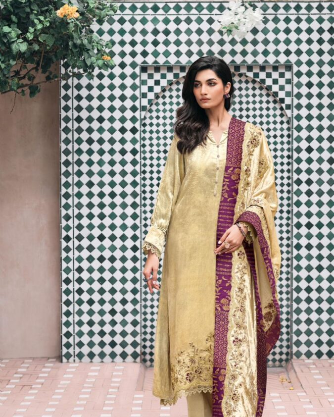 Pakistani Suit - Image 5