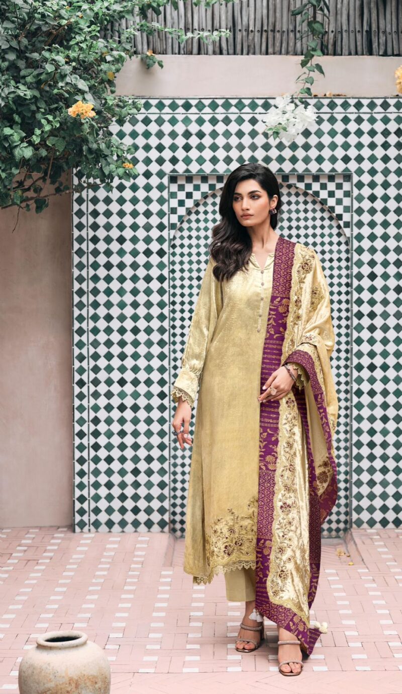 Pakistani Suit - Image 5