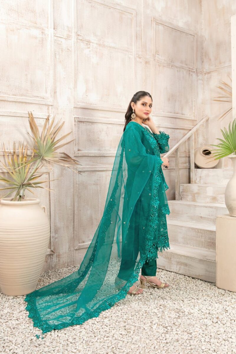 Pakistani Suit - Image 3