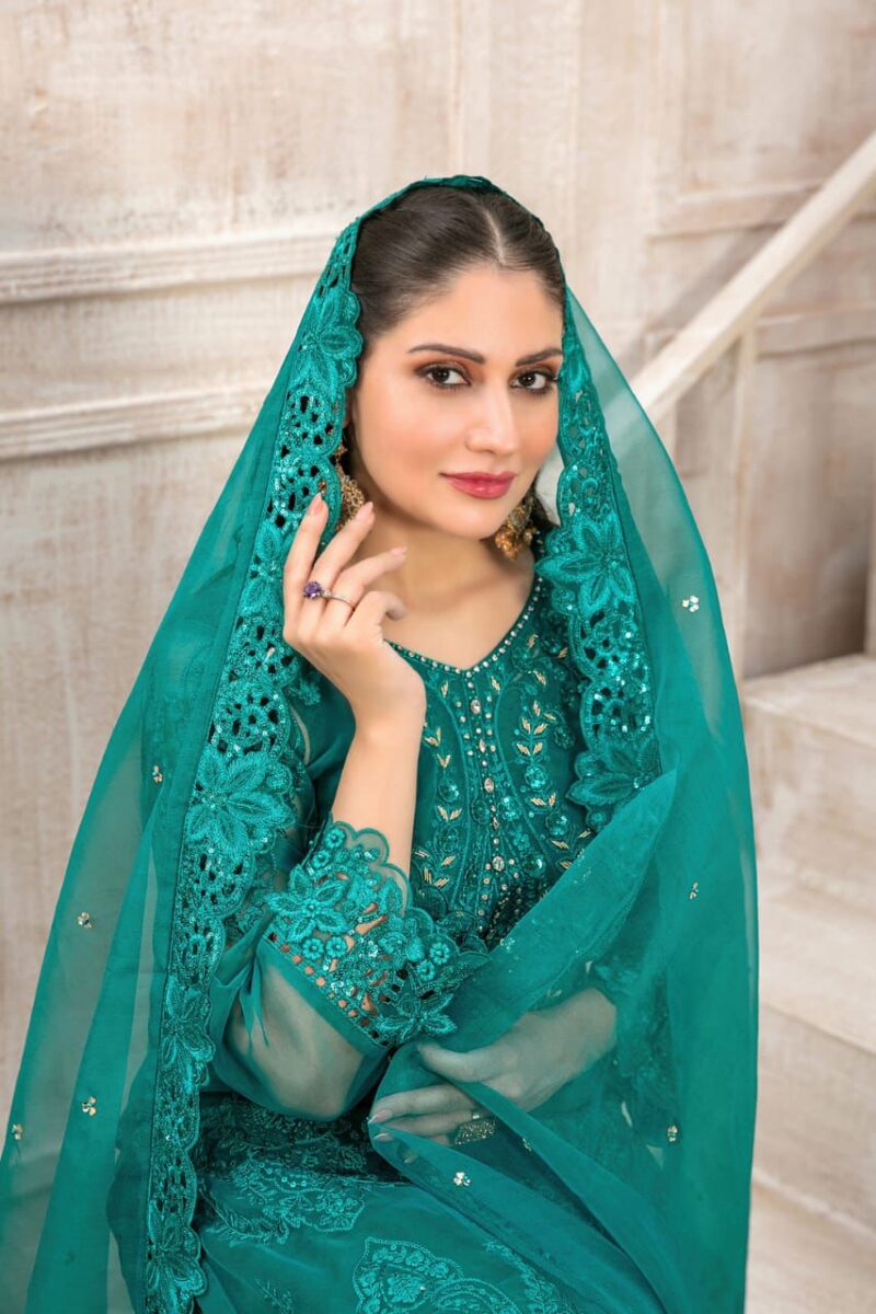 Pakistani Suit - Image 2